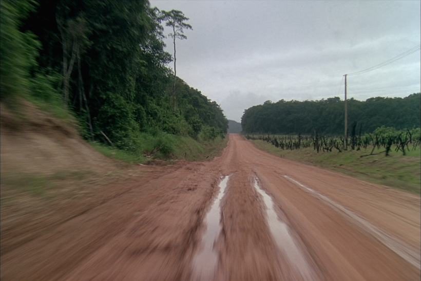 Frente de expansão agrícola no limite da floresta amazônica.